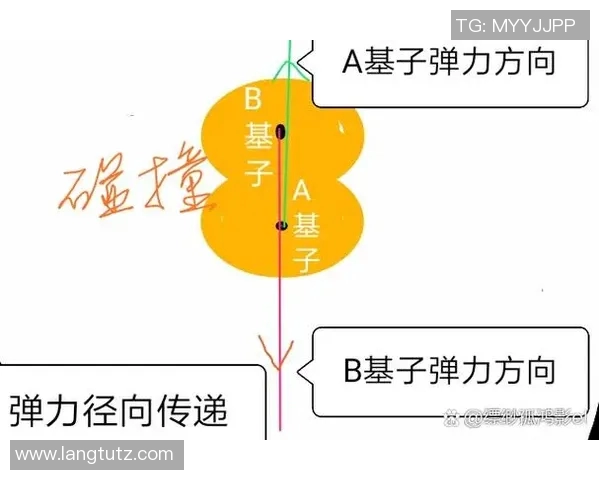 尼古拉武切维奇的科学探索与对现代物理学的影响分析 尼古拉武切维奇的科学探索与对现代物理学的影响分析