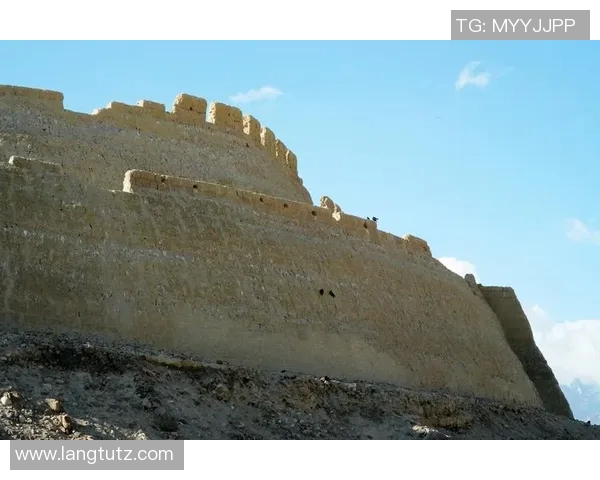 杨学增:探索科技创新与社会发展的交汇点,推动未来的可持续发展之路